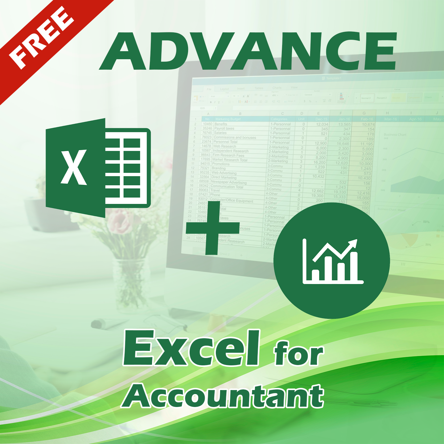 Advance Excel + Excel For Accountant